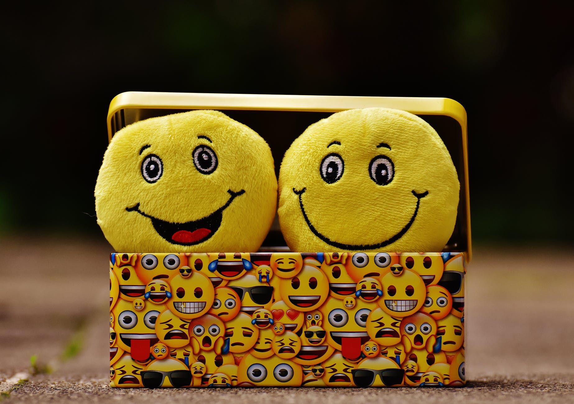 box cheerful color cute