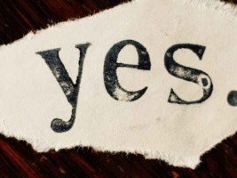 close up photo of text