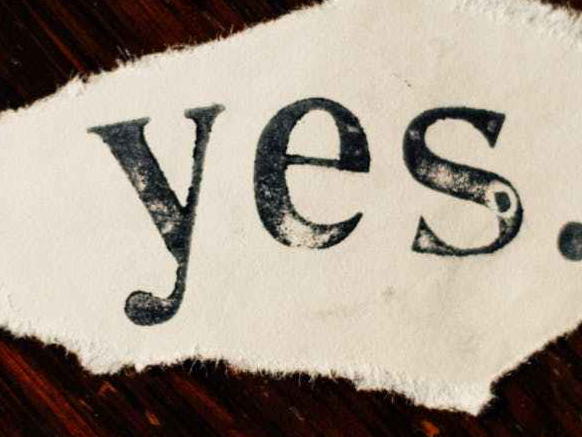 close up photo of text